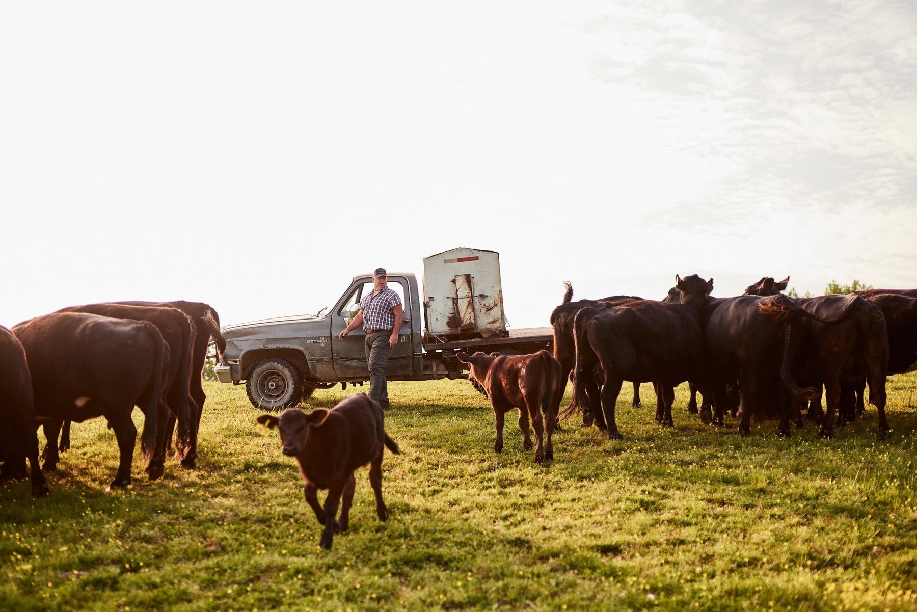 Assessing Your Operational Needs: A Practical Guide for Choosing the Right Farm and Ranch Equipment