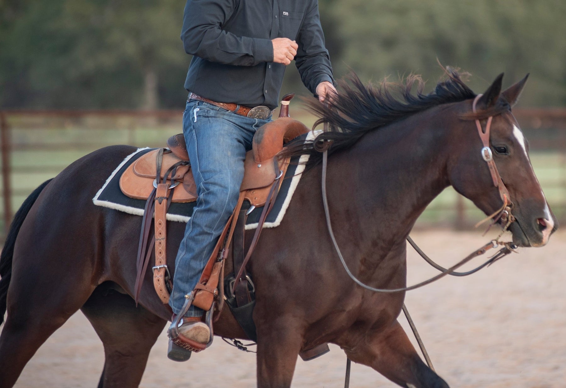 Choosing the Right Saddle Pad: The Classic Equine Difference