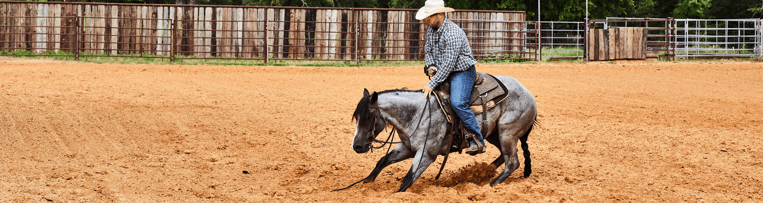 What Is a Snaffle Bit?