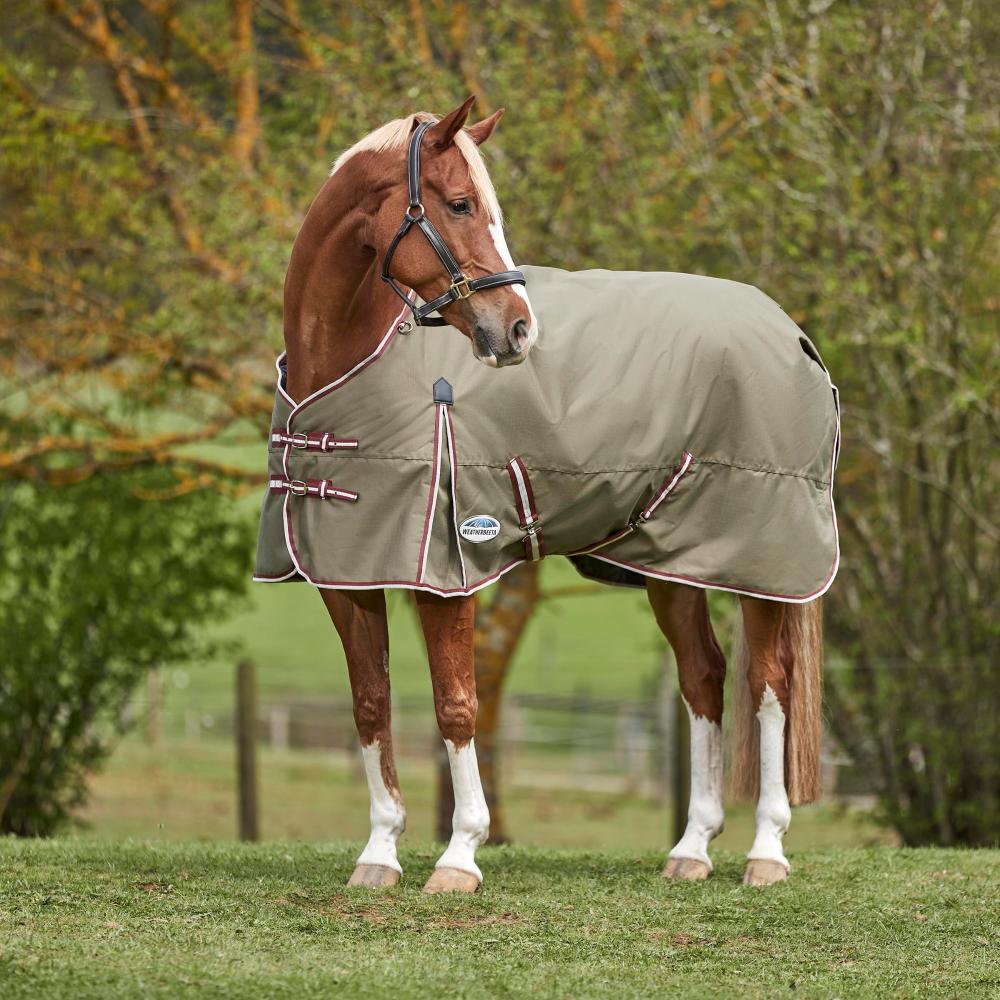 Coperta per cavalli in cotone con copricollo standard Weatherbeeta