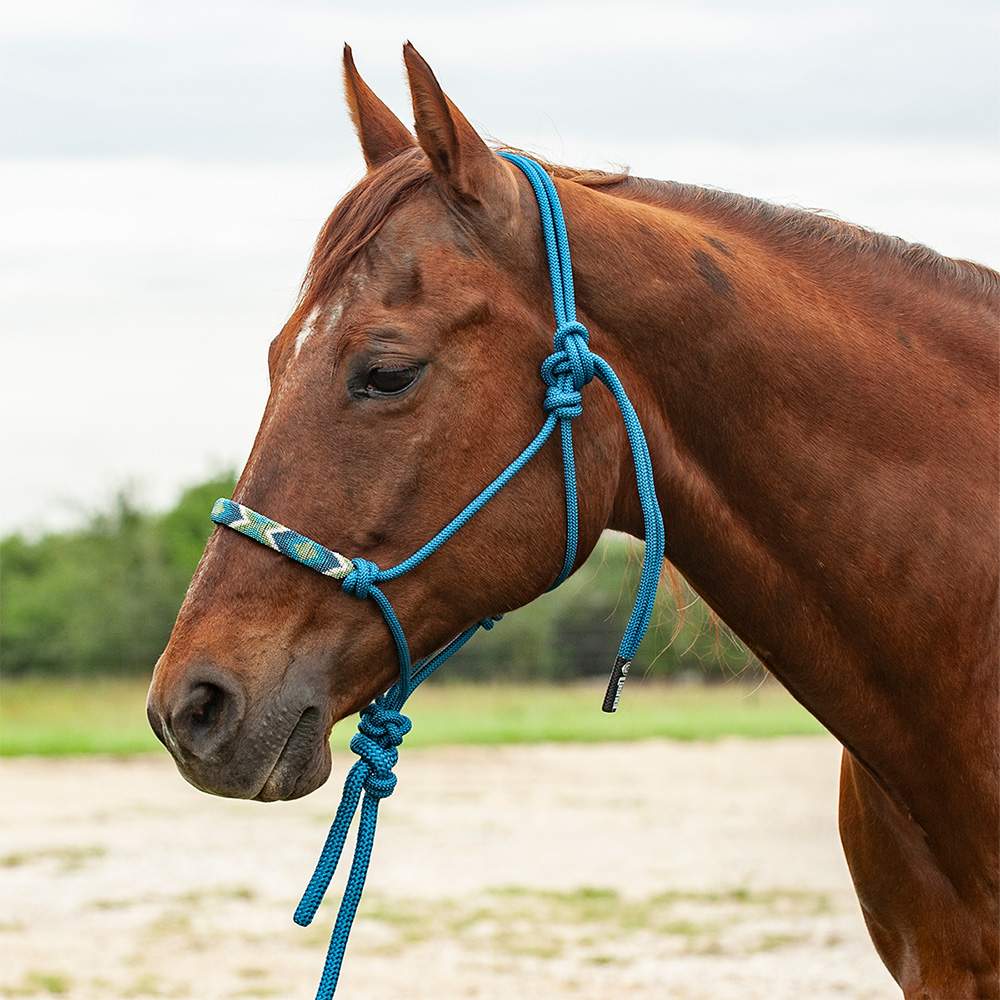 CHALLENGER Nylon Horse Halter With Lead Rope - Blue Medium Size With Nickel Plated Hardware