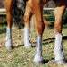 Crusader Fly Guard Horse Leg Boots