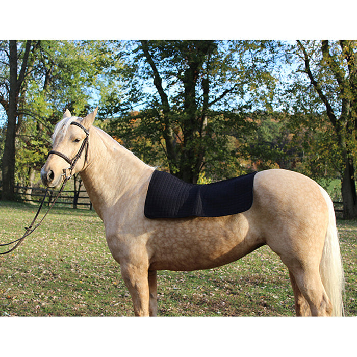Back On Track Horse Therapy Western Saddle Pad Liner