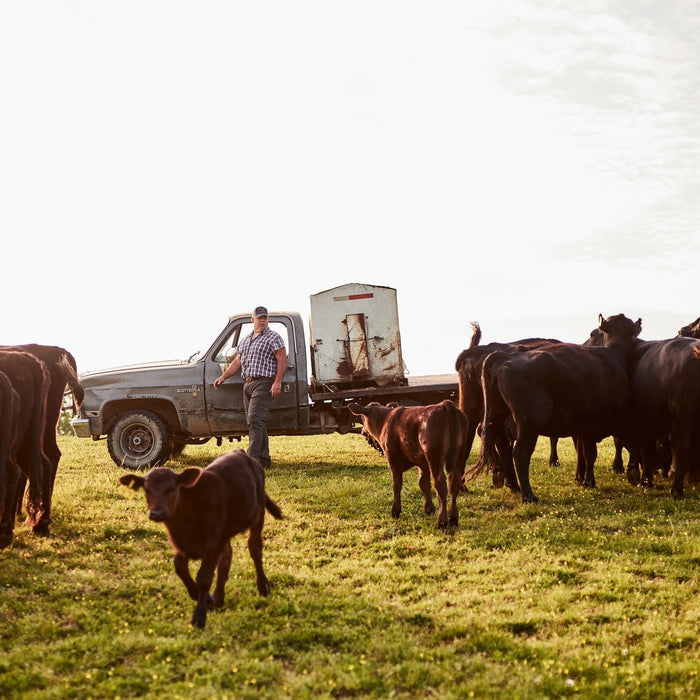 Assessing Your Operational Needs: A Practical Guide for Choosing the Right Farm and Ranch Equipment