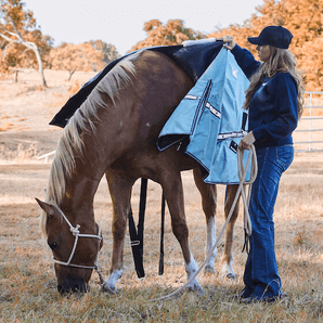 Horse Blanket Sizing Size Guide