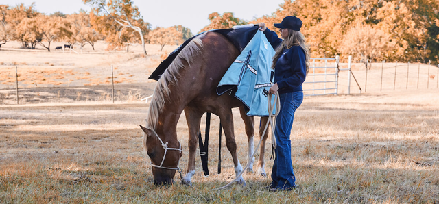 Horse Blanket Sizing Size Guide