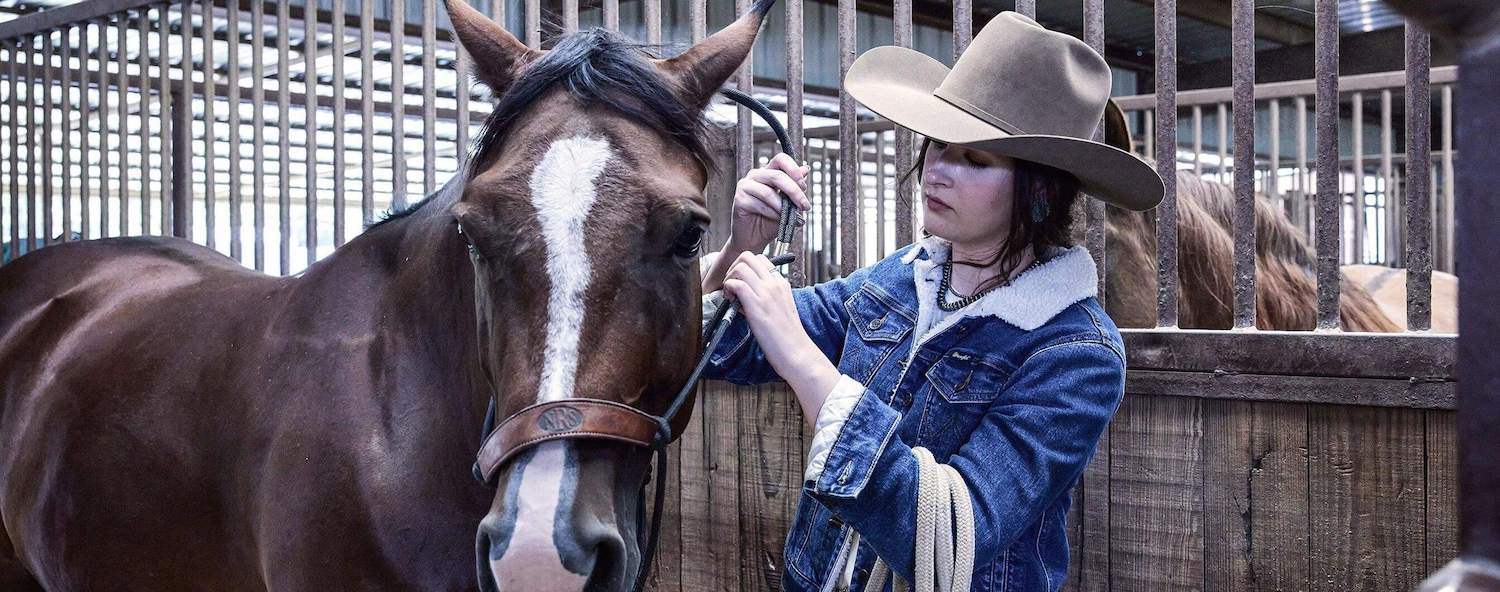 How To Halter a Horse What is a Horse Halter? Learn the Difference