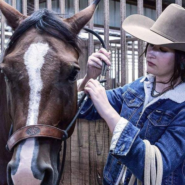 How To Halter a Horse & Other Horse Halter Basics
