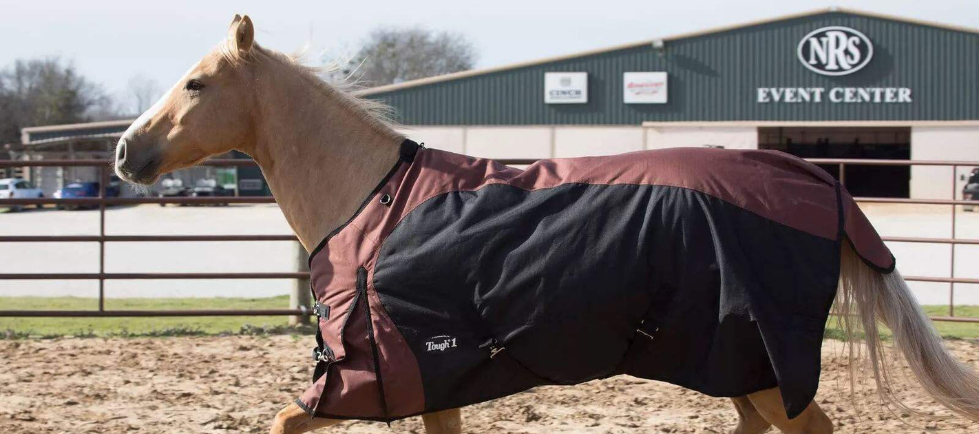 NRS Horse Blanketing Guide Essential Horse Blanketing Guidelines