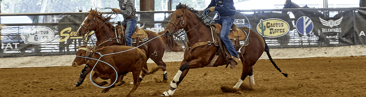 Running Rope Component What Are The Parts Of Your Rope — NRS