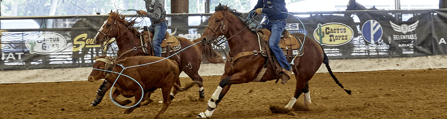 What Are The Parts Of Your Rope — NRS