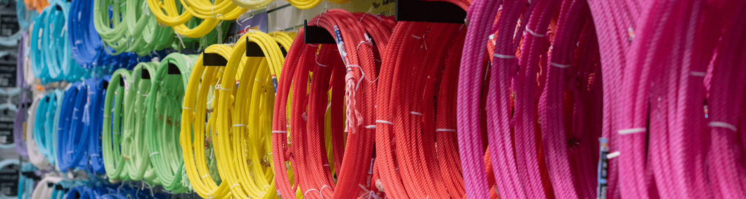 The Best Team Ropes for Beginners