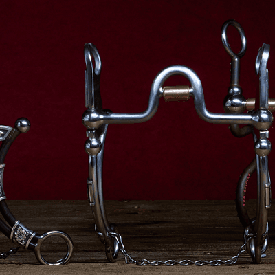 NRSworld Performance Horse Bits