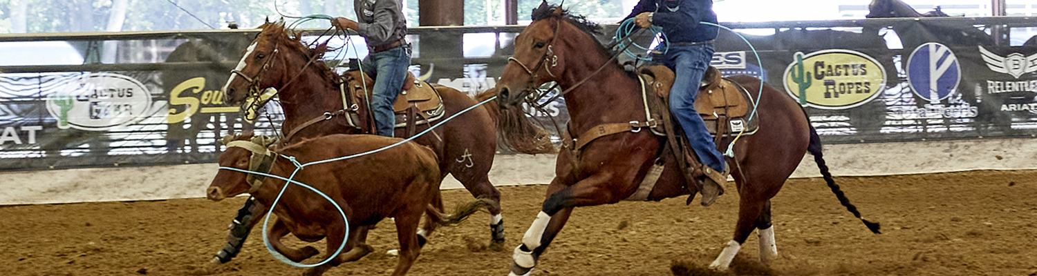 Trevor Brazile and Buddy Hawkins World Series of Team Roping Open Roping at NRS Event Center