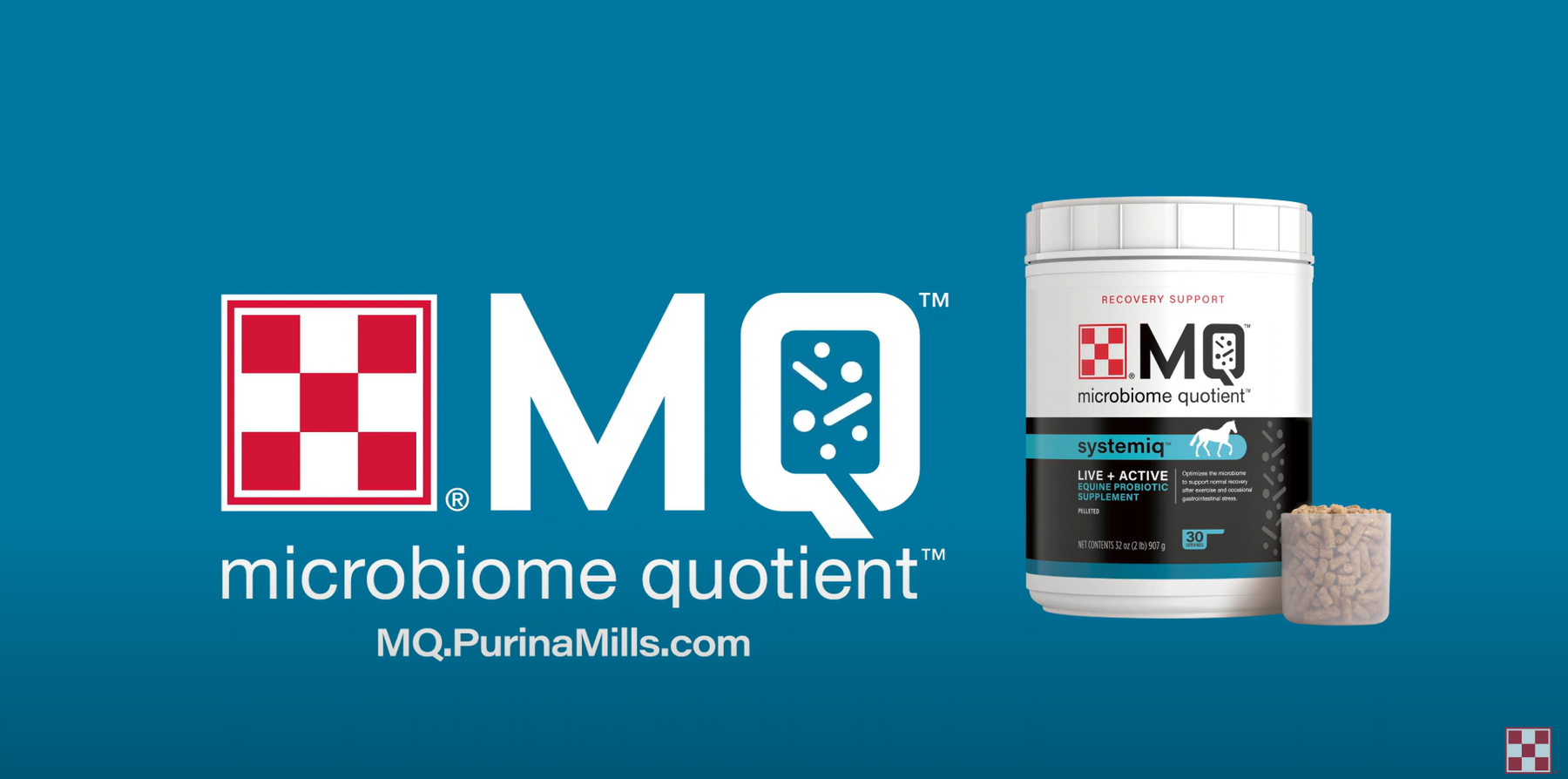The Benefits of Purina MQ SystemiQ Probiotic Supplement in Equine Health