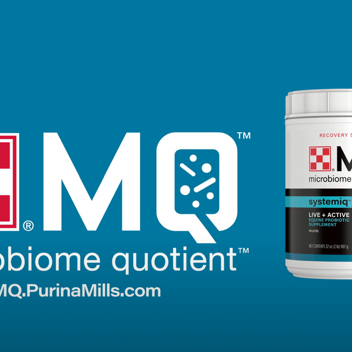 The Benefits of Purina MQ SystemiQ Probiotic Supplement in Equine Health