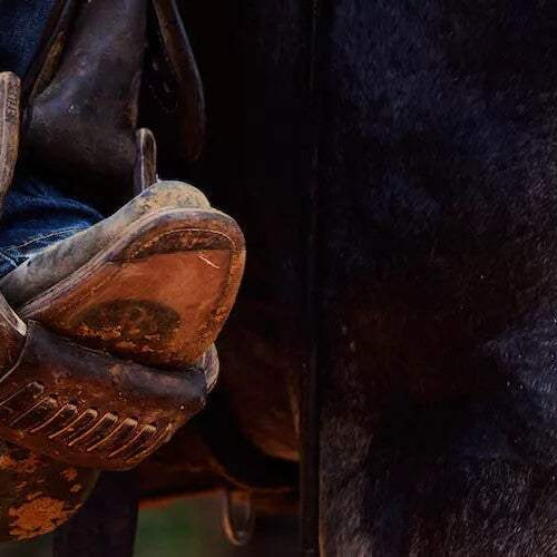 Equestrian Workout Routine: On the Road Exercises for Equestrians