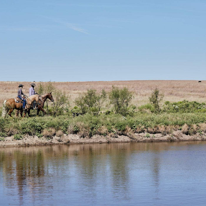 A Year of All Things Western