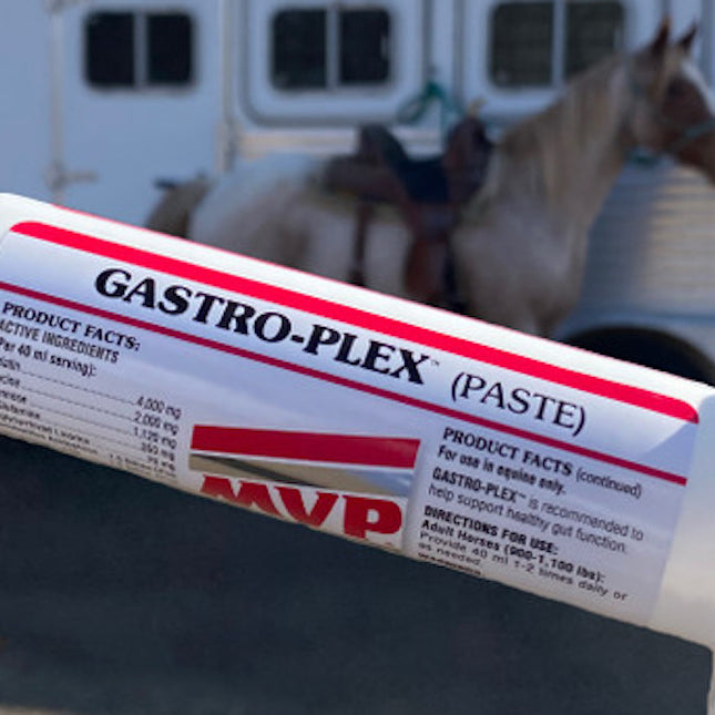 Equine Recovery Pastes
