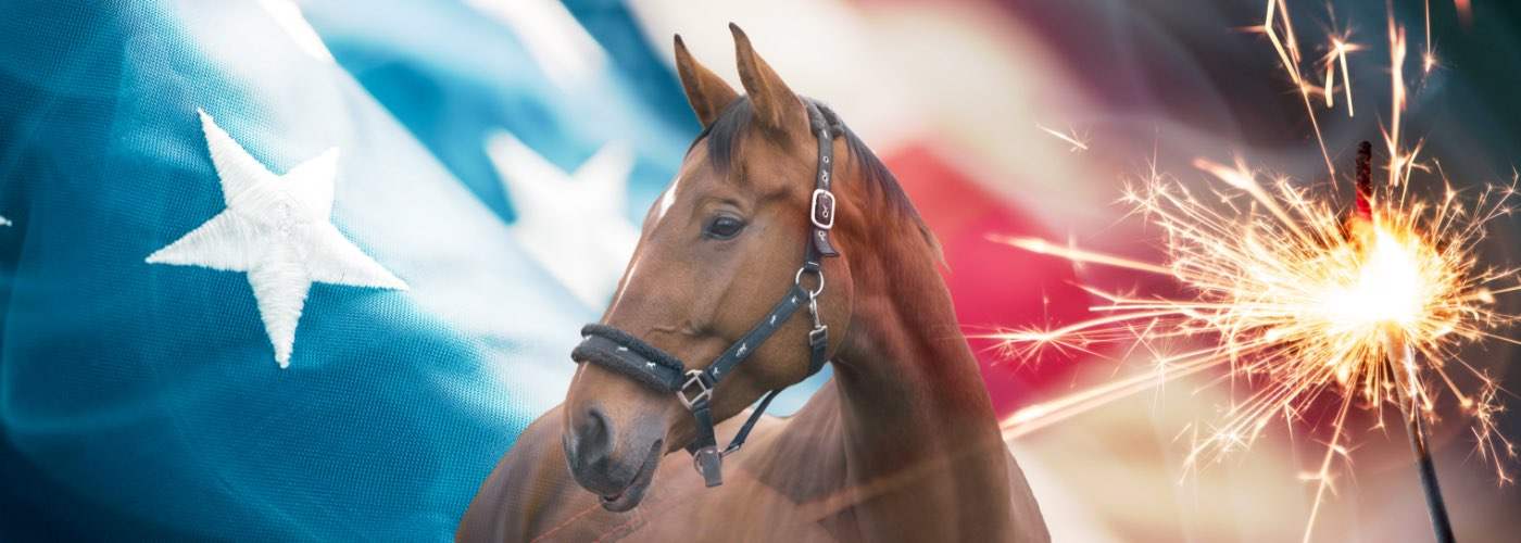 Guide to 4th of July Horse Safety: 5 Ways To Keep Horses Calm During Fireworks and Festivities