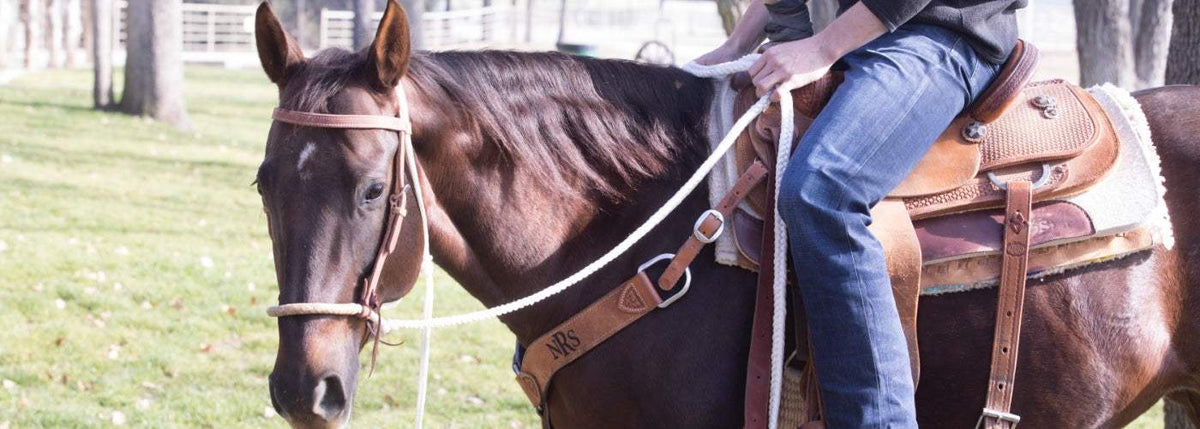 Best Ranch Saddle | How to Find the Best Ranch Saddles