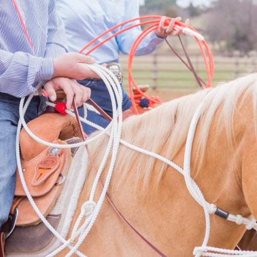 The Best Affordable Roping Saddles Under $2000