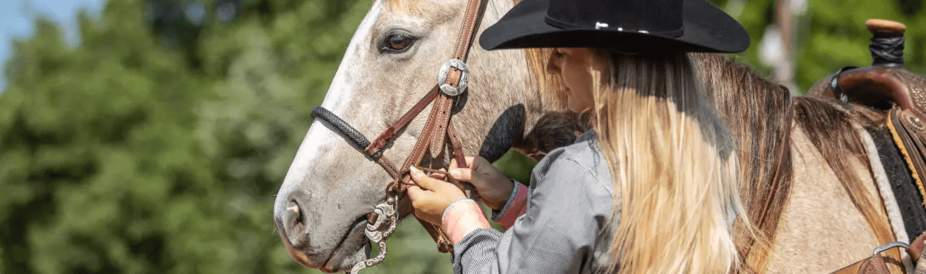 L'écurie du Val Loyer, équitation plaisir - Écurie du Val Loyer L'écurie du Val Loyer, équitation plaisir - Écurie du Val Loyer