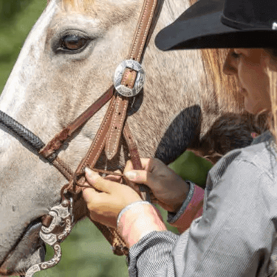 Types of Bits: The Essential Buying Guide for Western Horse Bits
