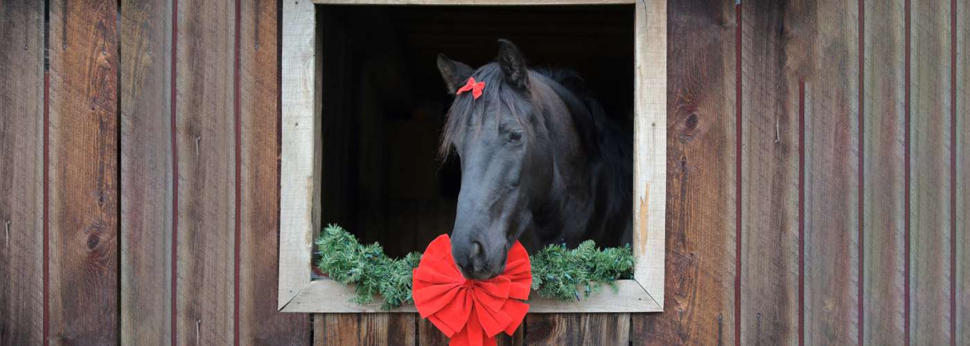 Fun & Unique Horse Gifts for the Holidays