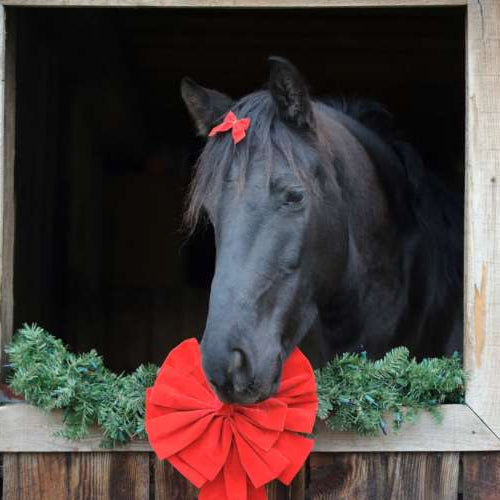 Fun & Unique Horse Gifts for the Holidays