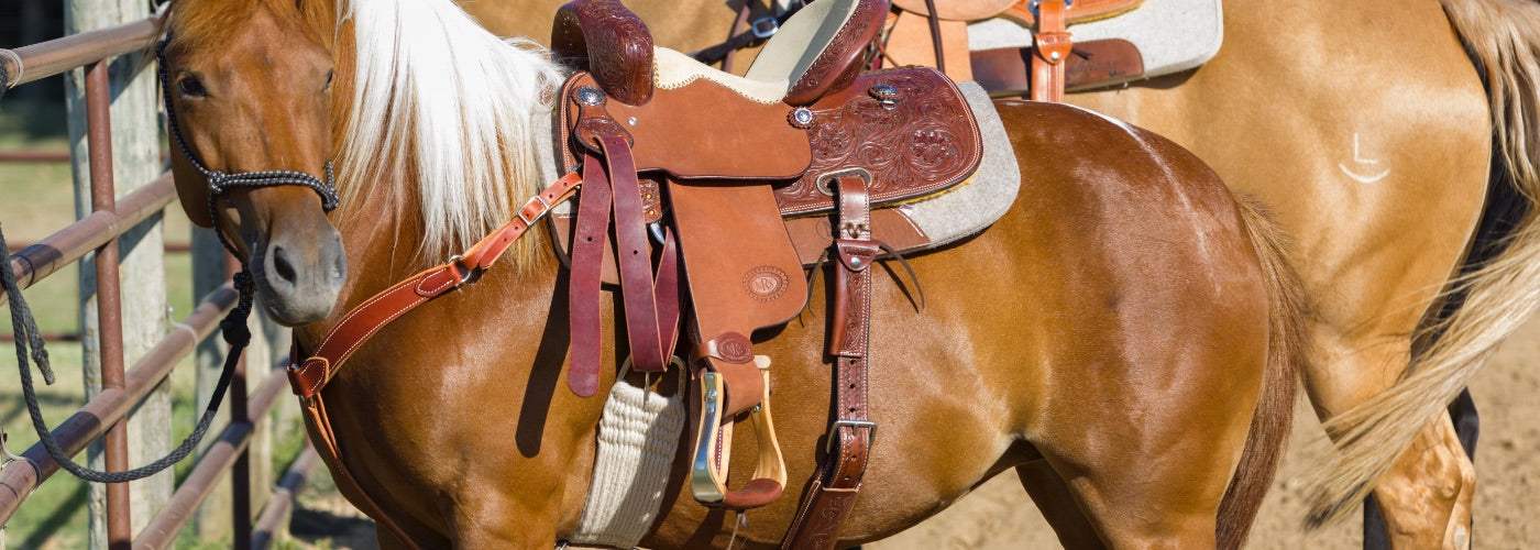 How To Cinch A Saddle: A Guide to the Best Western Cinches