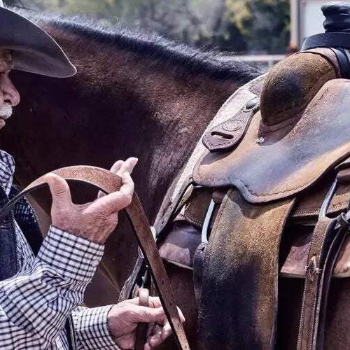 How to Buy Used Saddles Online: The Essential Guide to Buying a Saddle Secondhand