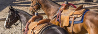 How To Fit A Western Saddle | Learn How To Measure A Western Saddle