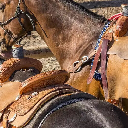 Ultimate Saddle Fitting Guide: How To Size a Western Saddle for Your Horse