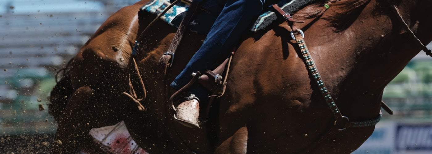 Best Stirrups Guide Learn How to Measure Stirrups, Find Out What