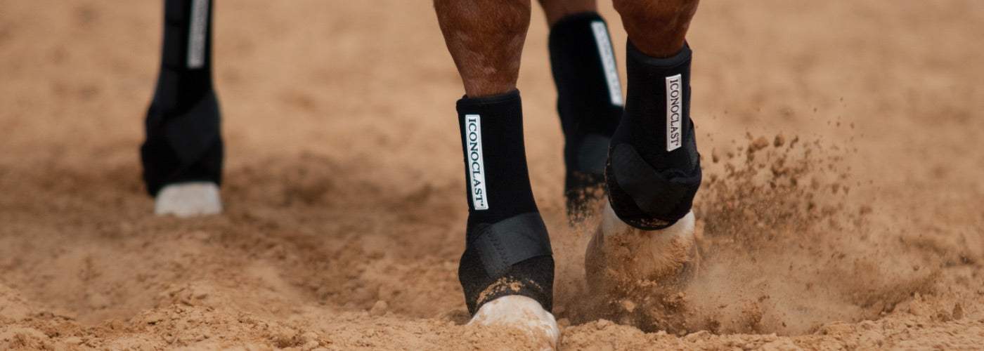 A Closer Look at the Best Splint Boots for Horses - NRS