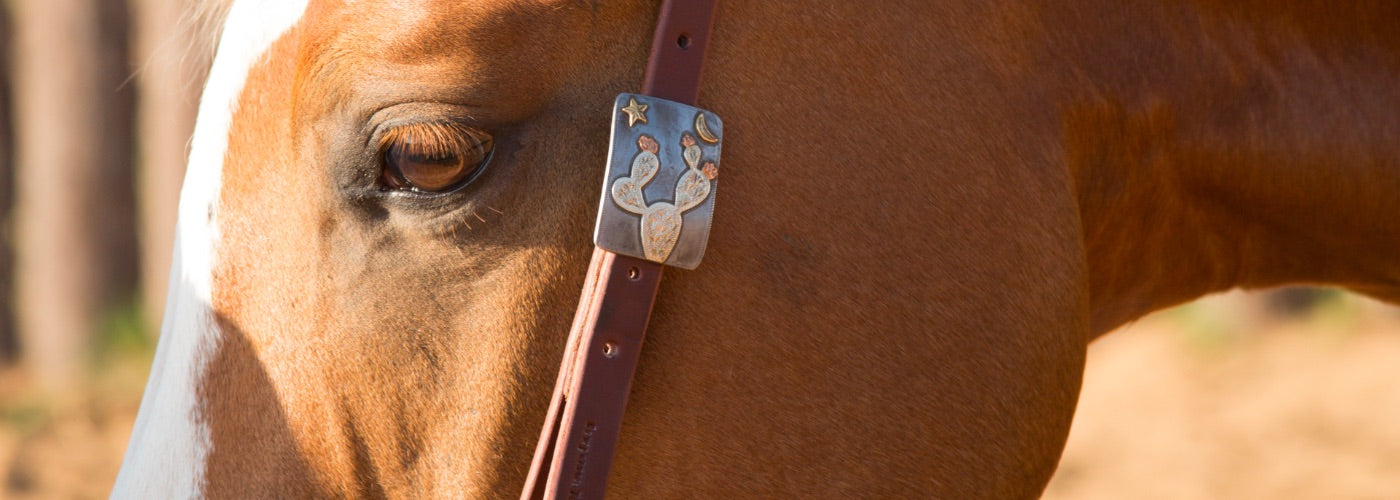 Top Cowperson Tack Bridles, Headstalls & More for 2021 NRS