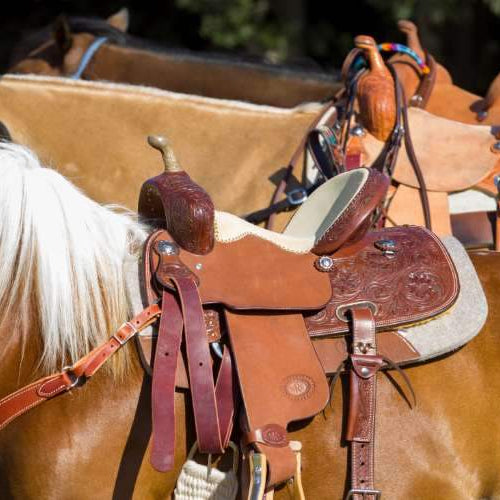 A Guide to the Most Common Types of Western Saddles