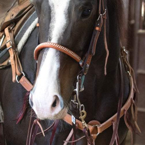 What to Look for in Western Breast Collar Parts - NRS