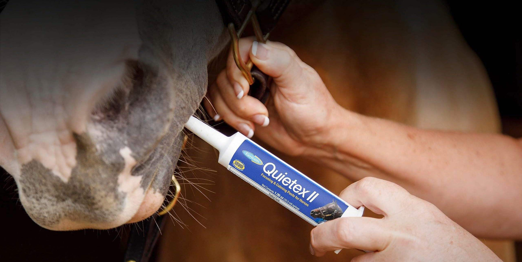 how to give calming supplements to horses