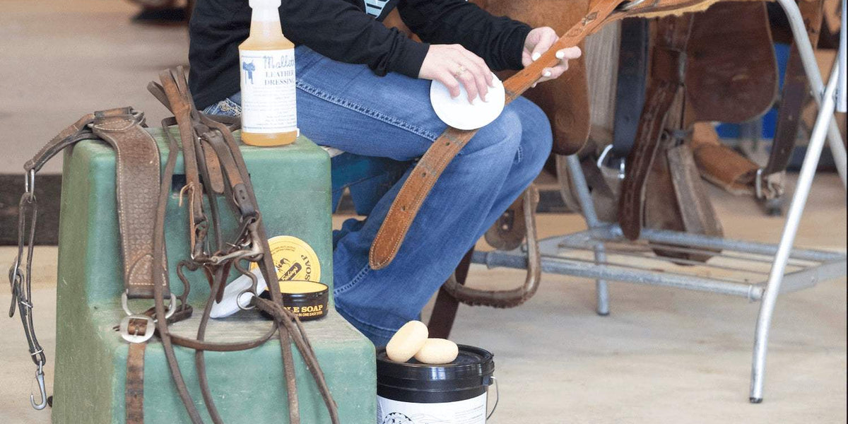 How to Clean Tack A StepbyStep Guide NRS World