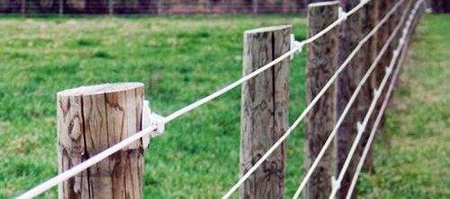 Shockingly Effective: The Ins and Outs of Electric Fencing Your Property