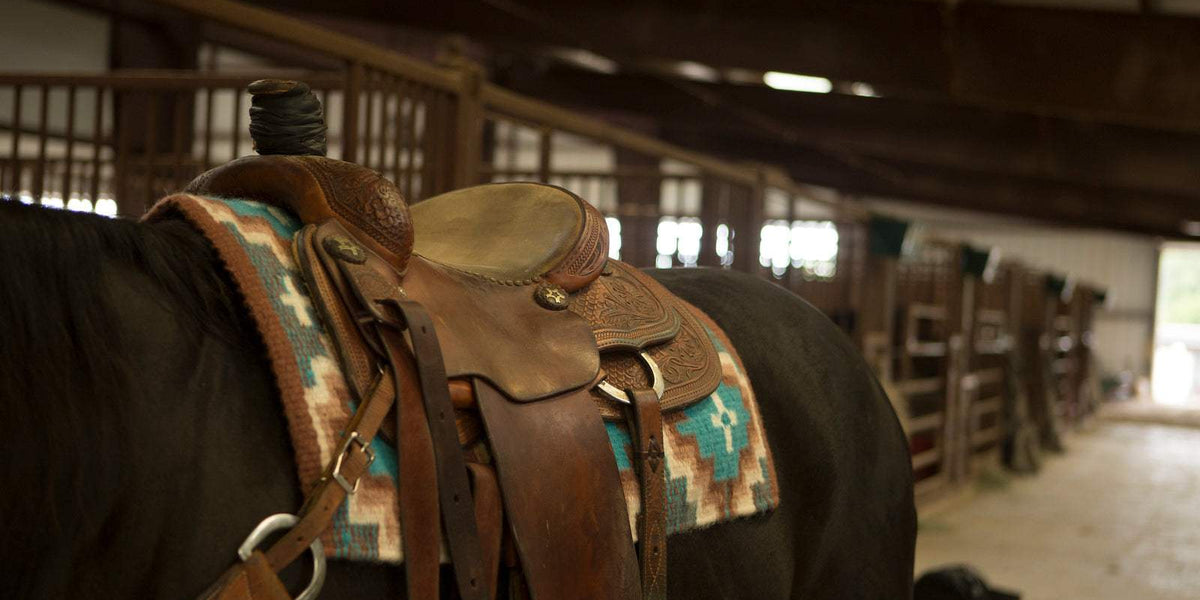 Saddle Care Secrets Keep Your Saddle Like New!