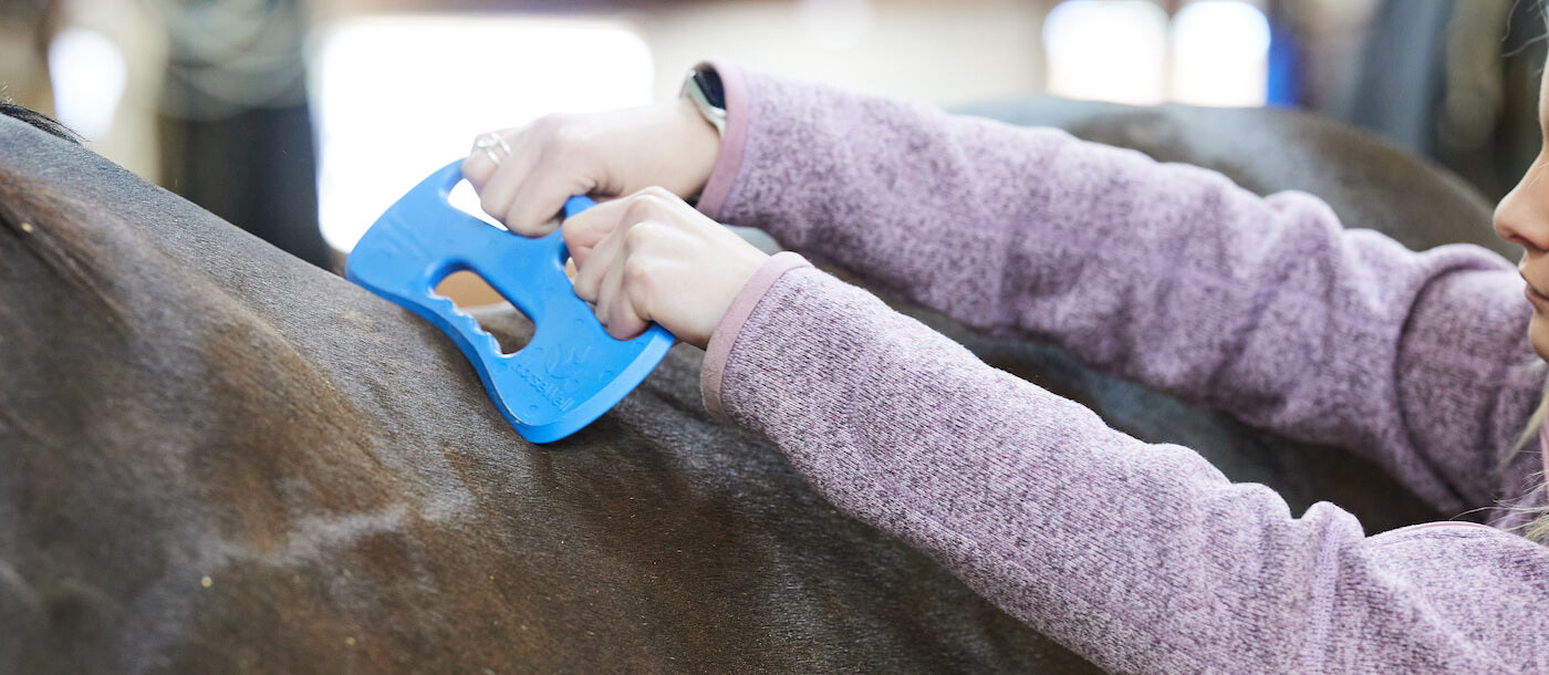 Massage Therapy for Horses with Horsewell