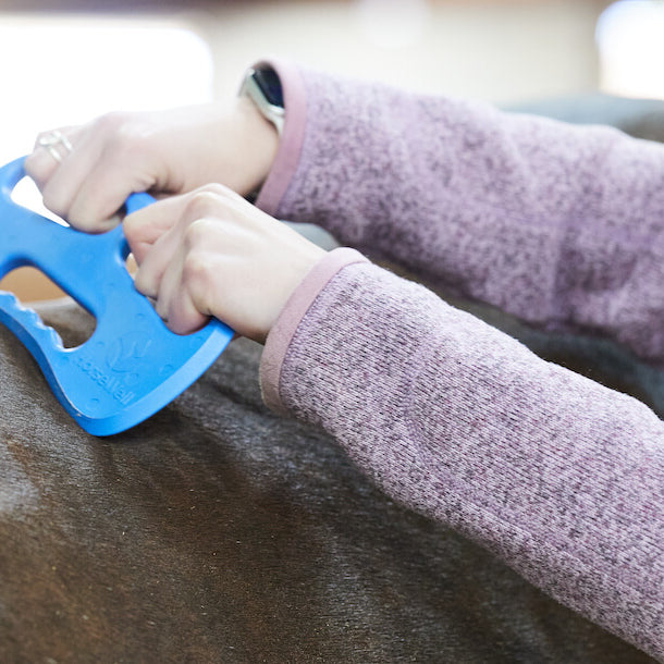 Massage Therapy for Horses with Horsewell