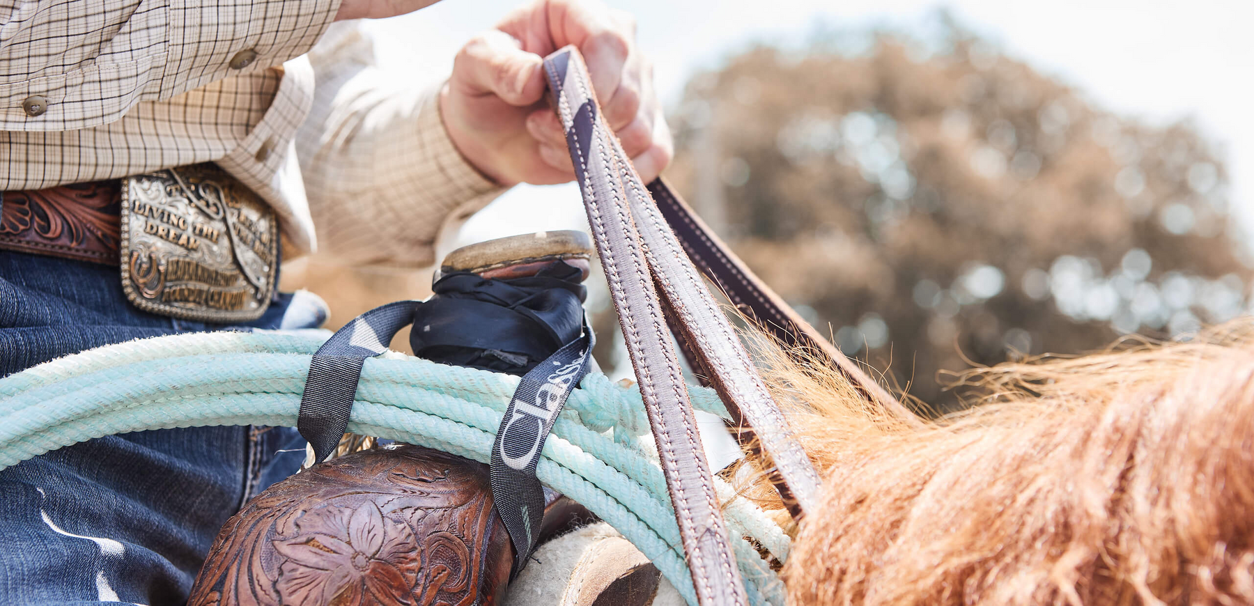 How to Hold Western Reins