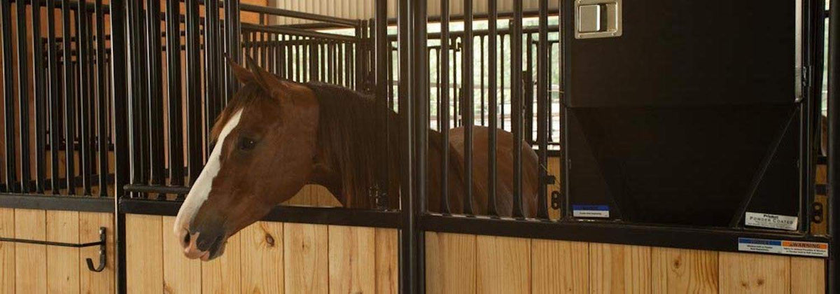 Beating Stall Boredom with NRS Influencer TopWind Ranch