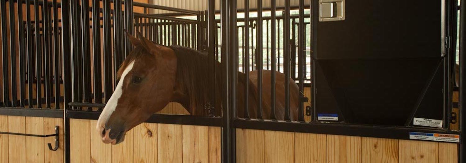 Beating Stall Boredom with NRS Influencer TopWind Ranch