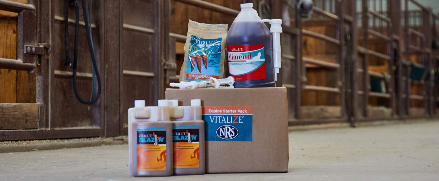 All About Vitalize Horse Supplements
