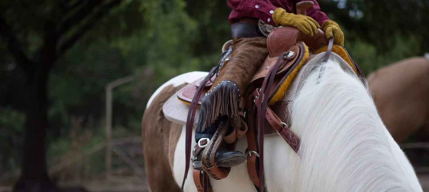 Western Youth Saddle Size Chart: Tips for Choosing the Best Youth ...